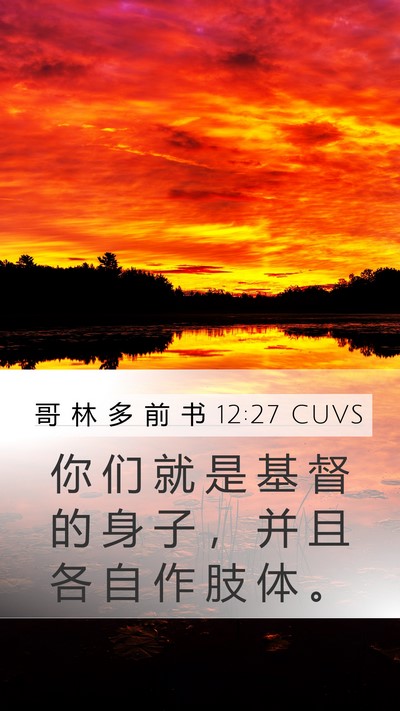 哥 林 多 前 书 12:27 CUVS Bible Verse Image