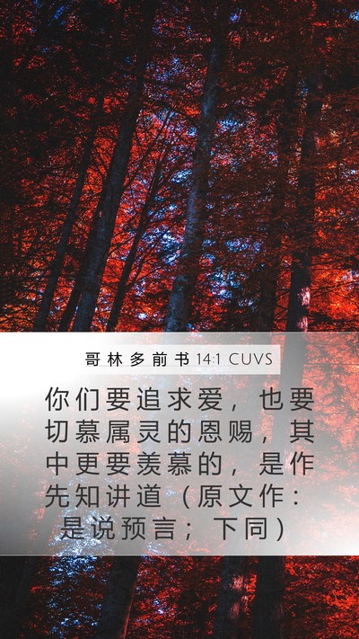 哥 林 多 前 书 14:1 CUVS Bible Verse Image