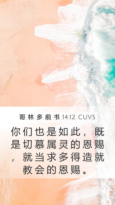 哥 林 多 前 书 14:12 CUVS Bible Verse Image