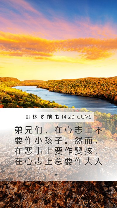哥 林 多 前 书 14:20 CUVS Bible Verse Image