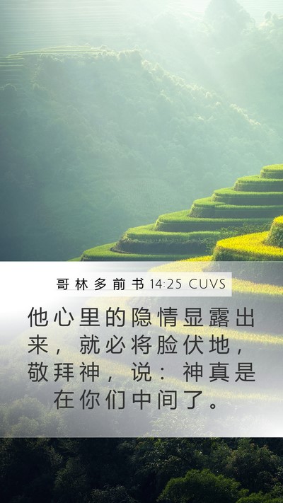 哥 林 多 前 书 14:25 CUVS Bible Verse Image
