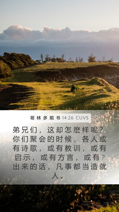 哥 林 多 前 书 14:26 CUVS Bible Verse Image