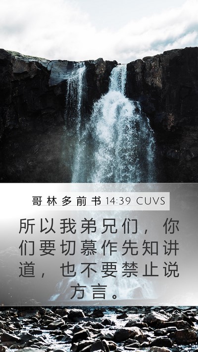 哥 林 多 前 书 14:39 CUVS Bible Verse Image