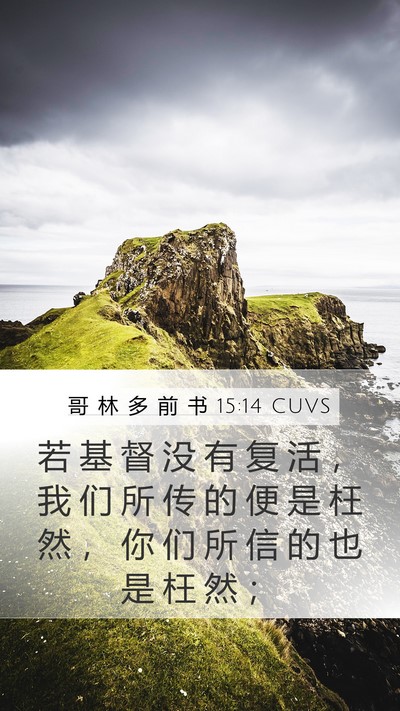 哥 林 多 前 书 15:14 CUVS Bible Verse Image
