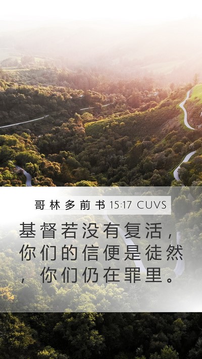 哥 林 多 前 书 15:17 CUVS Bible Verse Image