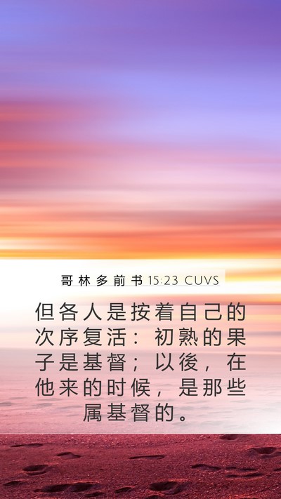 哥 林 多 前 书 15:23 CUVS Bible Verse Image
