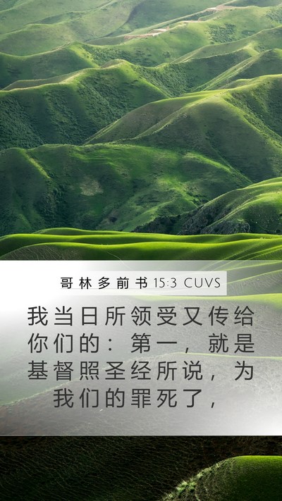 哥 林 多 前 书 15:3 CUVS Bible Verse Image