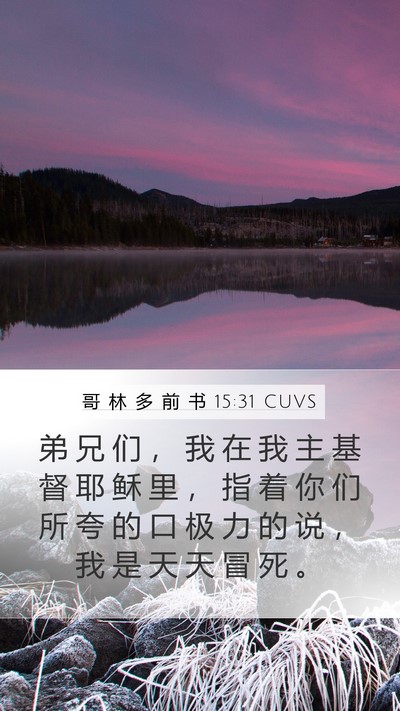 哥 林 多 前 书 15:31 CUVS Mobile Phone Wallpaper - 弟 兄 们 ， 我 在 我 主 基 督 耶 稣 - Mobile Bible Verse Wallpaper