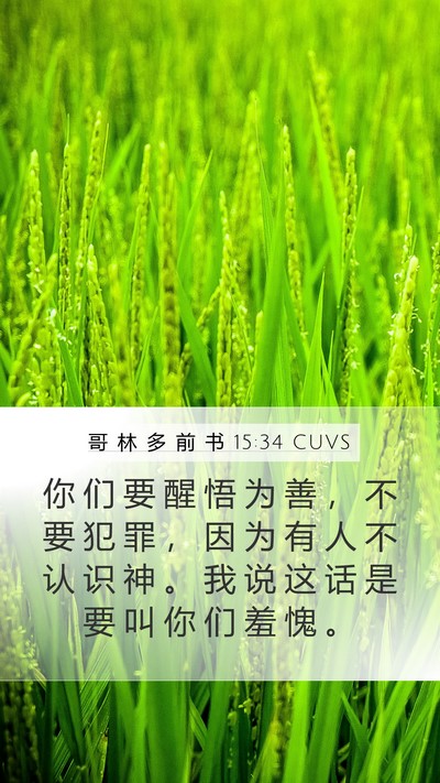 哥 林 多 前 书 15:34 CUVS Bible Verse Image