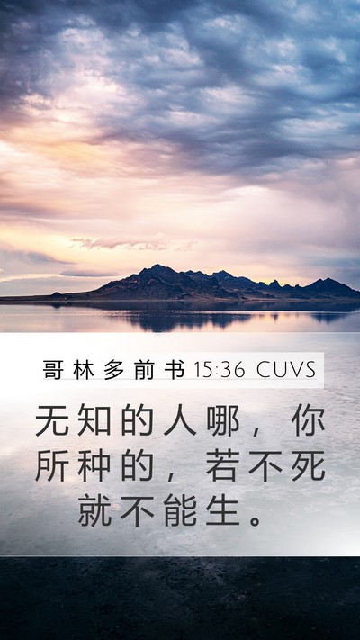 哥 林 多 前 书 15:36 CUVS Bible Verse Image