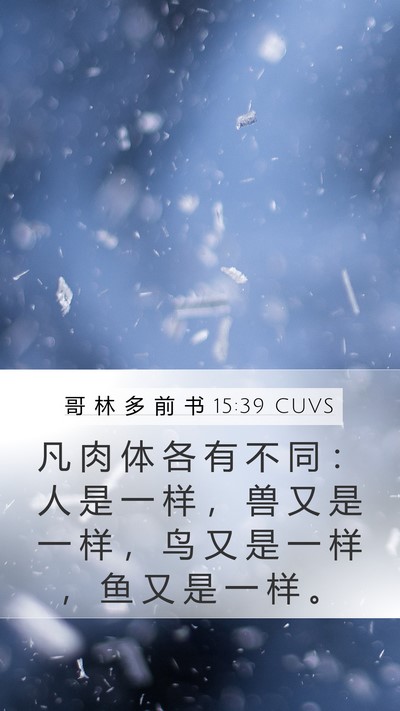 哥 林 多 前 书 15:39 CUVS Bible Verse Image