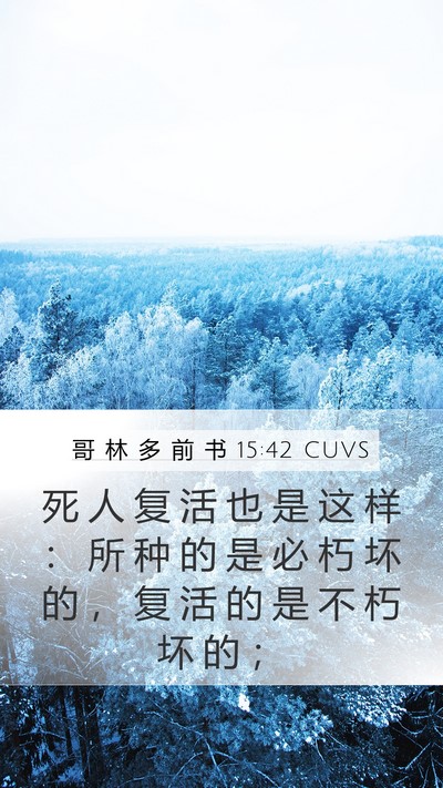 哥 林 多 前 书 15:42 CUVS Bible Verse Image