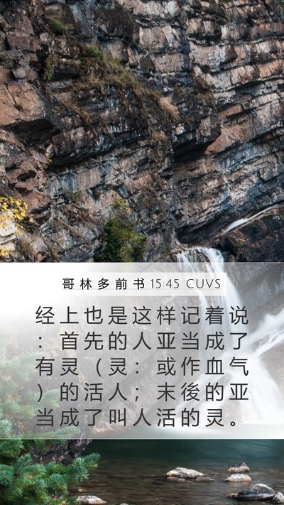 哥 林 多 前 书 15:45 CUVS Bible Verse Image