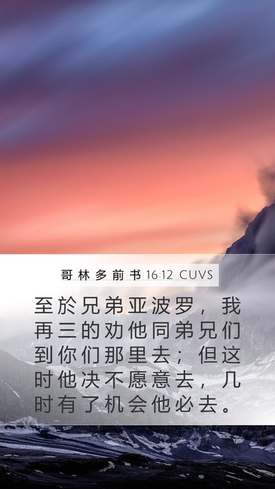 哥 林 多 前 书 16:12 CUVS Bible Verse Image