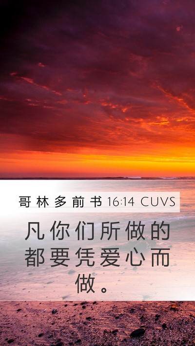 哥 林 多 前 书 16:14 CUVS Bible Verse Image