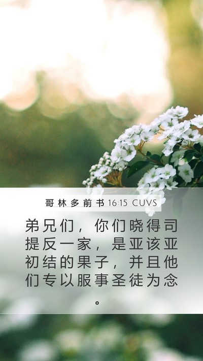 哥 林 多 前 书 16:15 CUVS Bible Verse Image