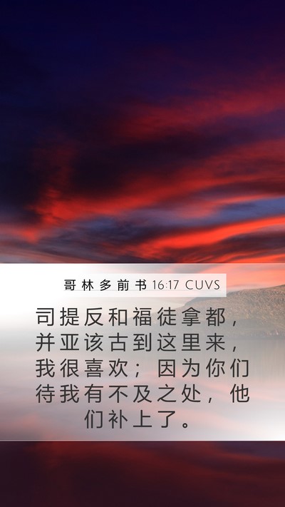 哥 林 多 前 书 16:17 CUVS Bible Verse Image