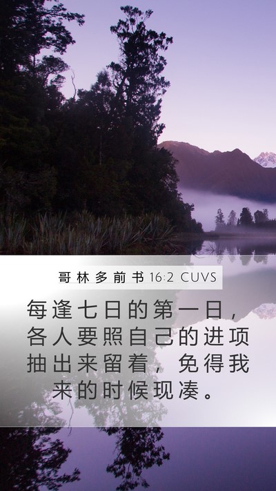 哥 林 多 前 书 16:2 CUVS Bible Verse Image