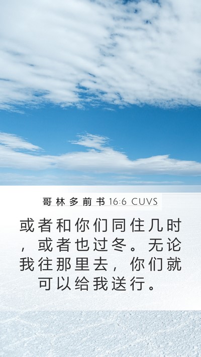 哥 林 多 前 书 16:6 CUVS Bible Verse Image