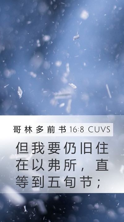 哥 林 多 前 书 16:8 CUVS Bible Verse Image