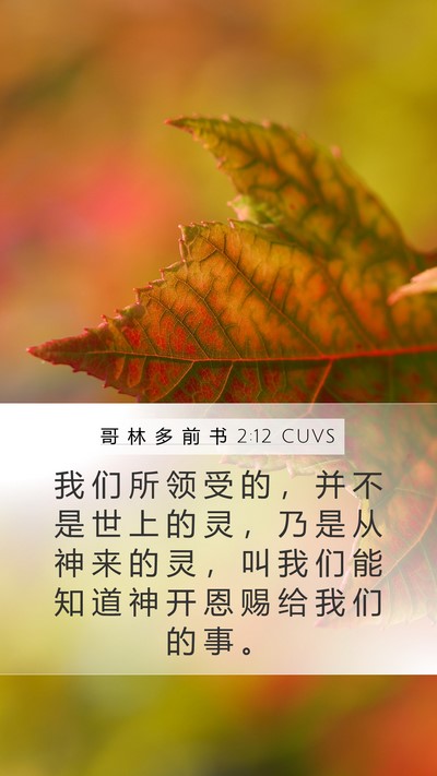 哥 林 多 前 书 2:12 CUVS Bible Verse Image