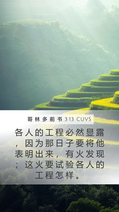 哥 林 多 前 书 3:13 CUVS Bible Verse Image