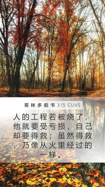 哥 林 多 前 书 3:15 CUVS Bible Verse Image