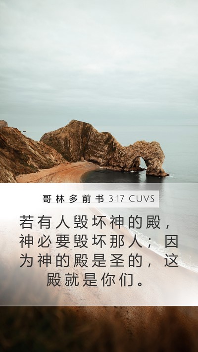 哥 林 多 前 书 3:17 CUVS Bible Verse Image