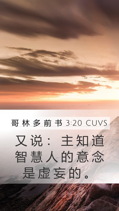 哥 林 多 前 书 3:20 CUVS Bible Verse Image