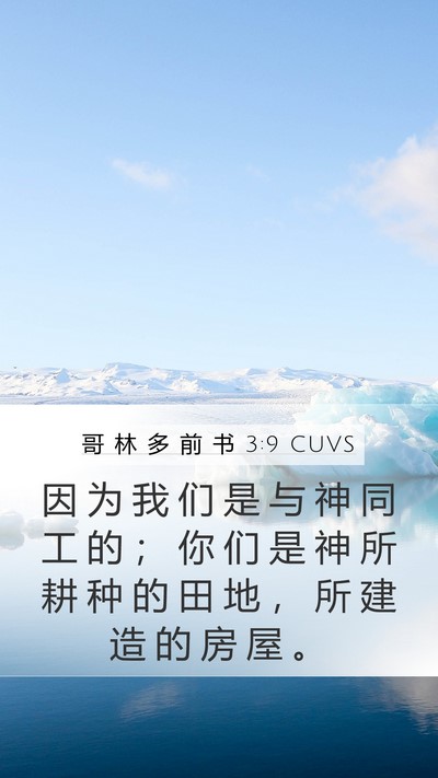 哥 林 多 前 书 3:9 CUVS Bible Verse Image