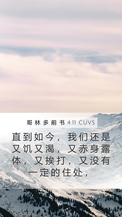 哥 林 多 前 书 4:11 CUVS Bible Verse Image