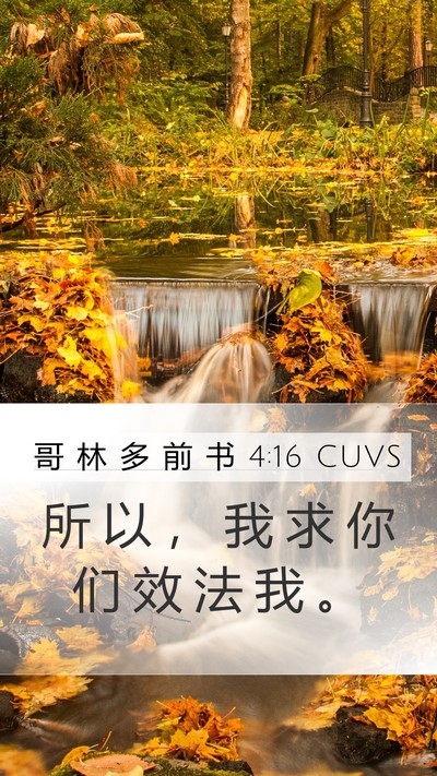 哥 林 多 前 书 4:16 CUVS Bible Verse Image