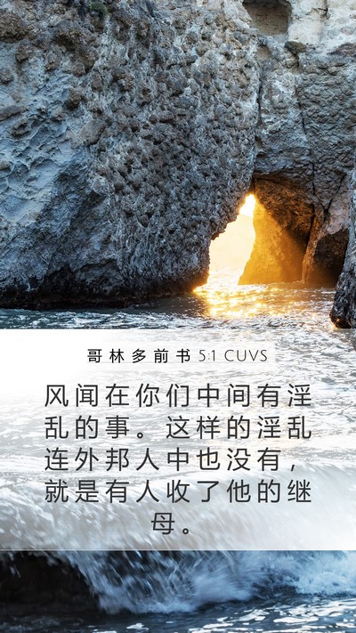 哥 林 多 前 书 5:1 CUVS Bible Verse Image