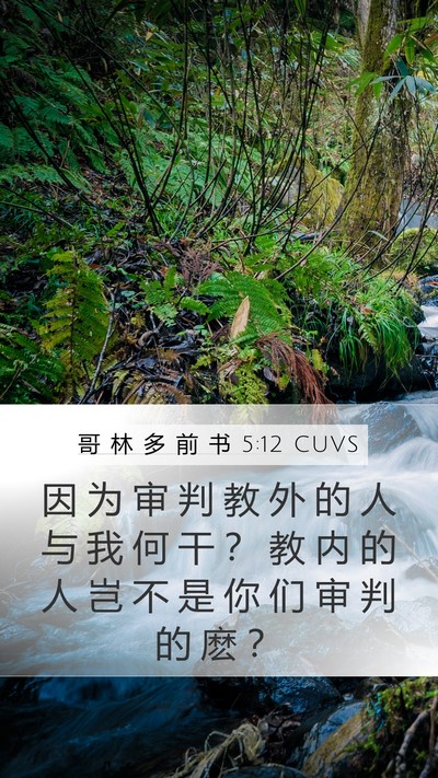 哥 林 多 前 书 5:12 CUVS Bible Verse Image