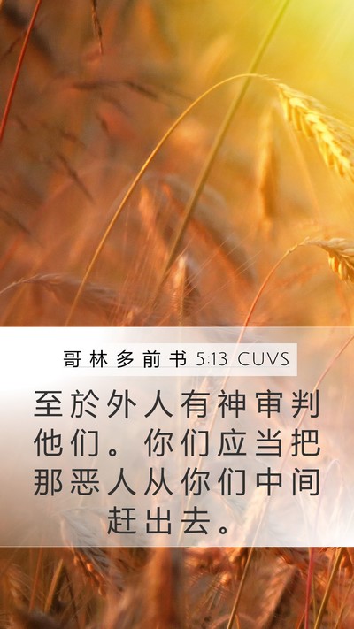 哥 林 多 前 书 5:13 CUVS Bible Verse Image