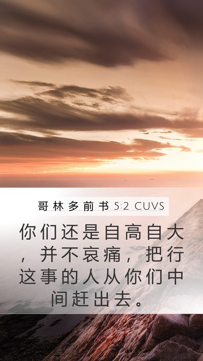 哥 林 多 前 书 5:2 CUVS Mobile Phone Wallpaper - 你 们 还 是 自 高 自 大 ， 并 不 哀 - Mobile Bible Verse Wallpaper