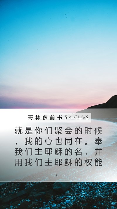 哥 林 多 前 书 5:4 CUVS Bible Verse Image