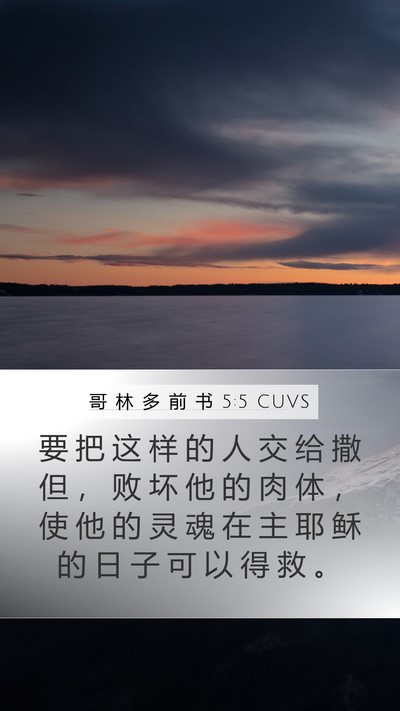 哥 林 多 前 书 5:5 CUVS Bible Verse Image