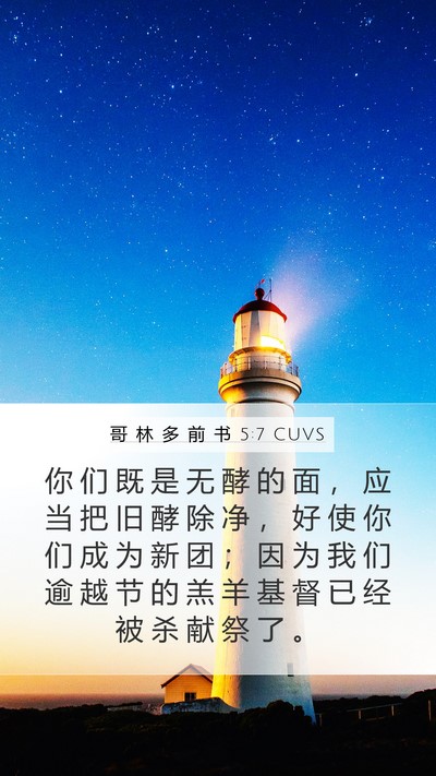 哥 林 多 前 书 5:7 CUVS Bible Verse Image