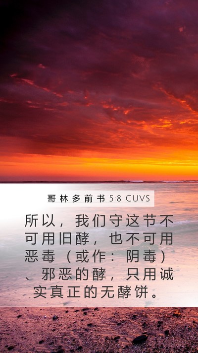 哥 林 多 前 书 5:8 CUVS Bible Verse Image