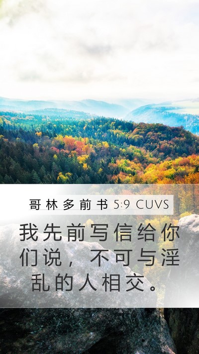 哥 林 多 前 书 5:9 CUVS Bible Verse Image