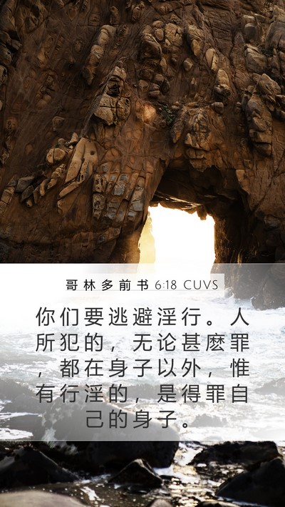 哥 林 多 前 书 6:18 CUVS Bible Verse Image