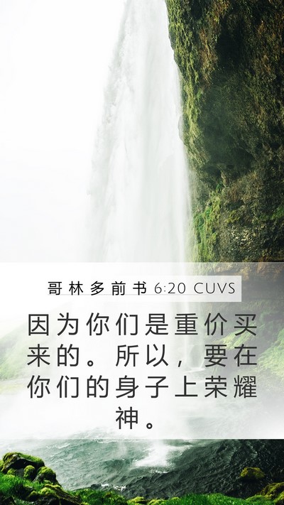 哥 林 多 前 书 6:20 CUVS Bible Verse Image