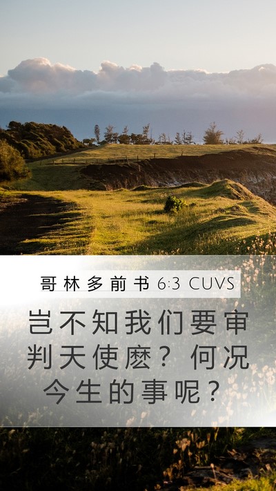 哥 林 多 前 书 6:3 CUVS Mobile Phone Wallpaper - 岂 不 知 我 们 要 审 判 天 使 麽 ？ - Mobile Bible Verse Wallpaper