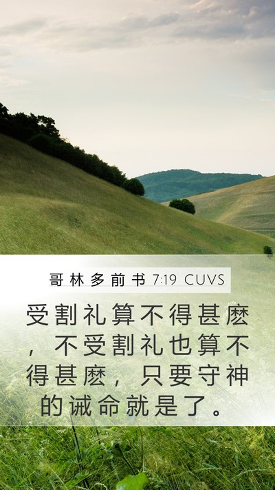 哥 林 多 前 书 7:19 CUVS Bible Verse Image