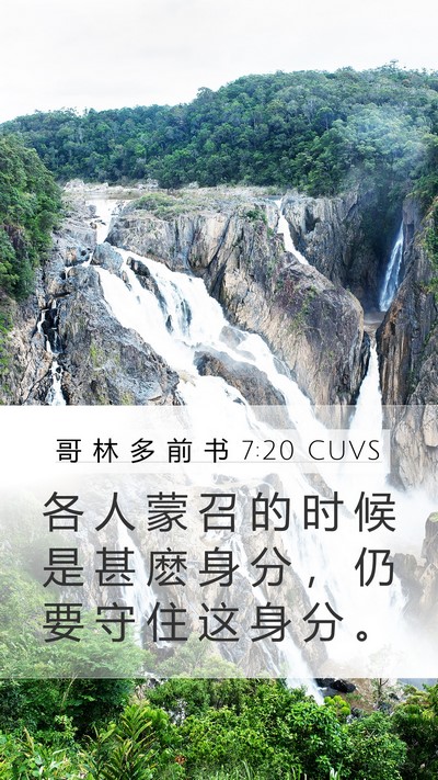 哥 林 多 前 书 7:20 CUVS Bible Verse Image