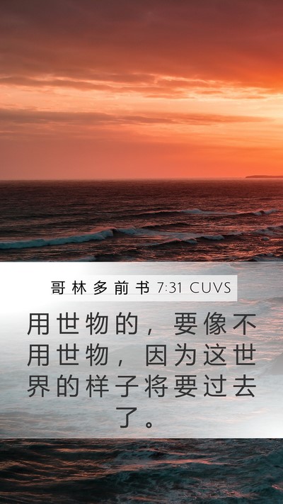 哥 林 多 前 书 7:31 CUVS Bible Verse Image