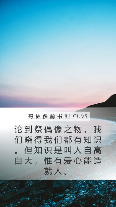 哥 林 多 前 书 8:1 CUVS Bible Verse Image