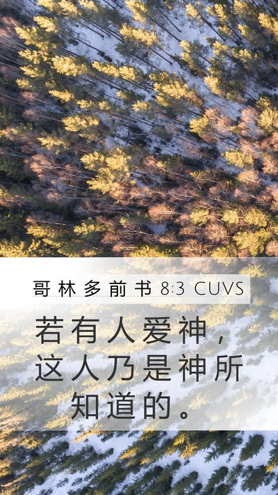 哥 林 多 前 书 8:3 CUVS Bible Verse Image