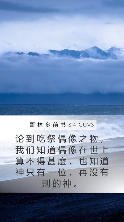 哥 林 多 前 书 8:4 CUVS Bible Verse Image